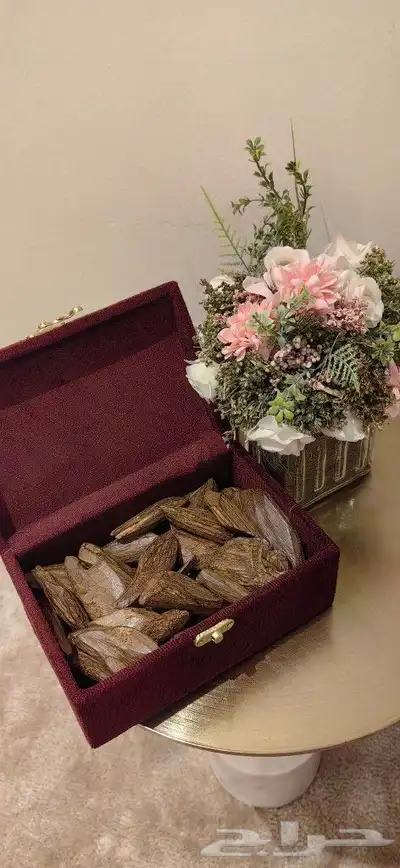 مروكي كنق 0