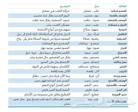 دليلك الى التفوق في القدرات اللفظية 2