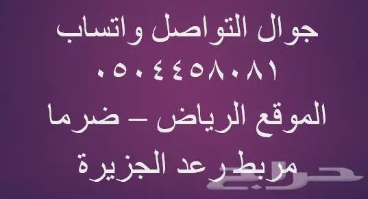 حصان عربي أصيل 1