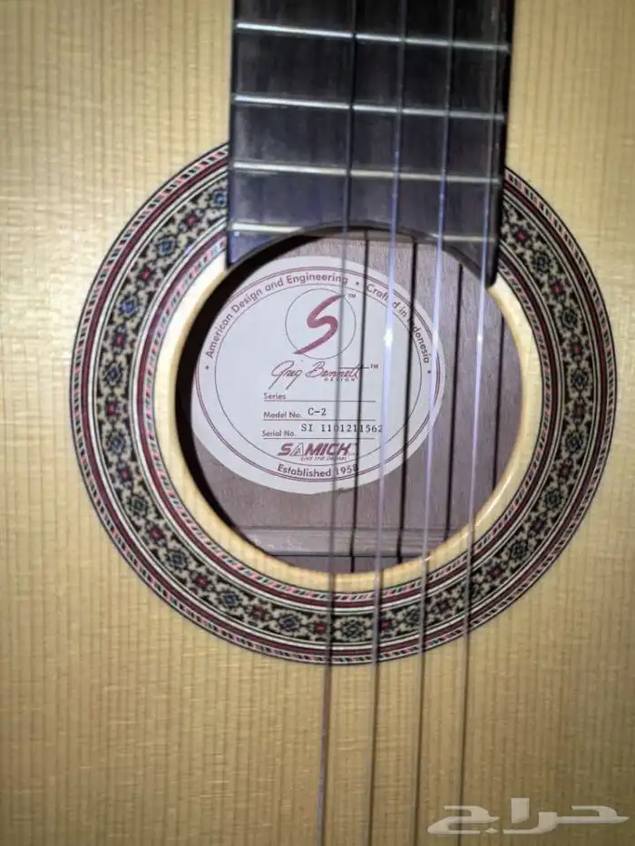 جيتار للبيع 18