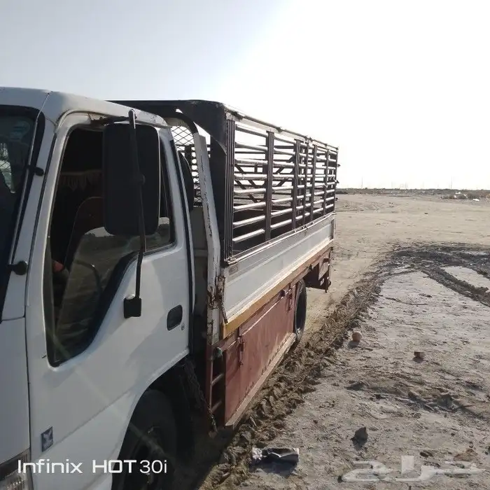 دينا دانه مشاوير 0