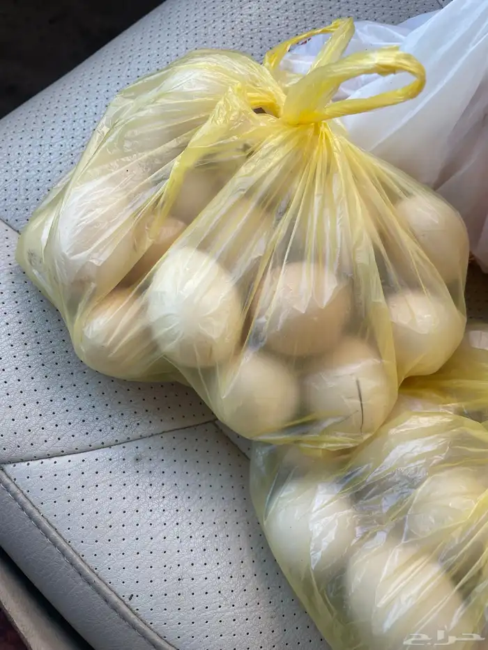 بيض بلدي يوميا والكميه محدودة طبقين فقط كل يوم على الطلب 0