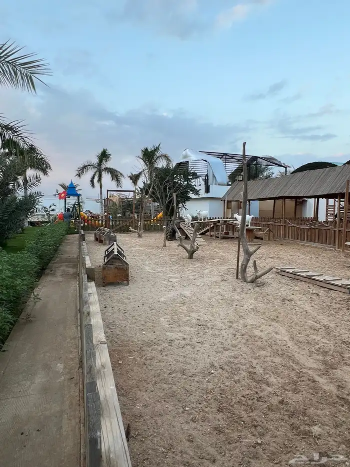 مربط و اسطبل ل ايواء الخيل Horse Stable - شمال جدة (ذهبان) 15