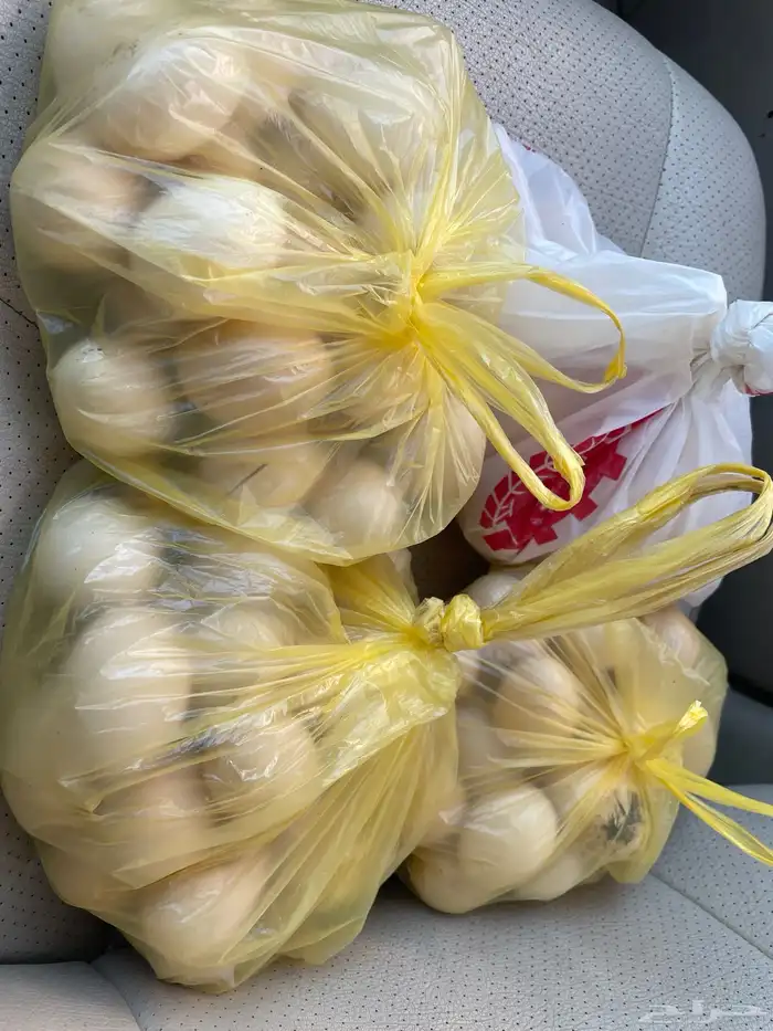 بيض بلدي يوميا والكميه محدودة طبقين فقط كل يوم على الطلب 1