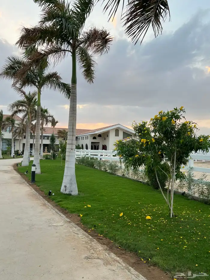 مربط و اسطبل ل ايواء الخيل Horse Stable - شمال جدة (ذهبان) 11