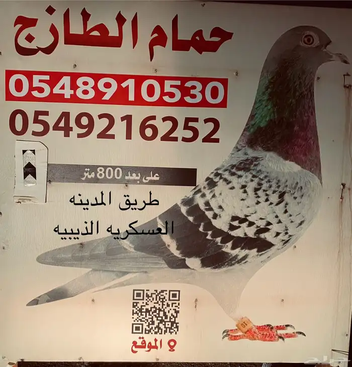 حمام زغاليل فرنسي شحم الذيبيه 0