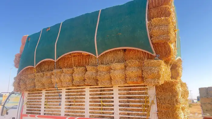 تبن بر صافي 1