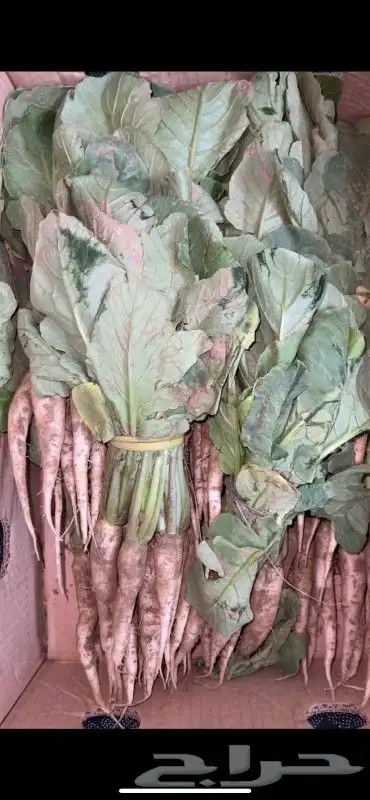 منتجات من مزارع جيزان 4