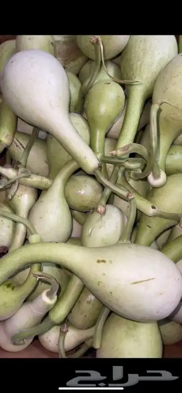 منتجات من مزارع جيزان 0