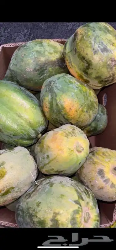 منتجات من مزارع جيزان 1