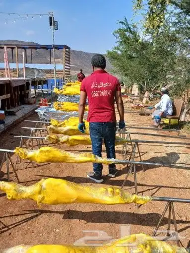 مطعم الخير يقدم خروف سيخ على الجمر 1 خروف مشوي   2   دجاج مش 8