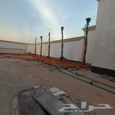 توريد وغرس النخل الواشنطني الزينه ولعربي 3