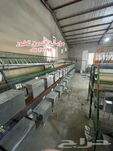 بطاريه ارانب 14عين 7