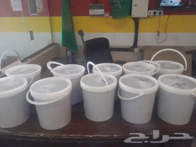 تمور حائل الفاخره 6