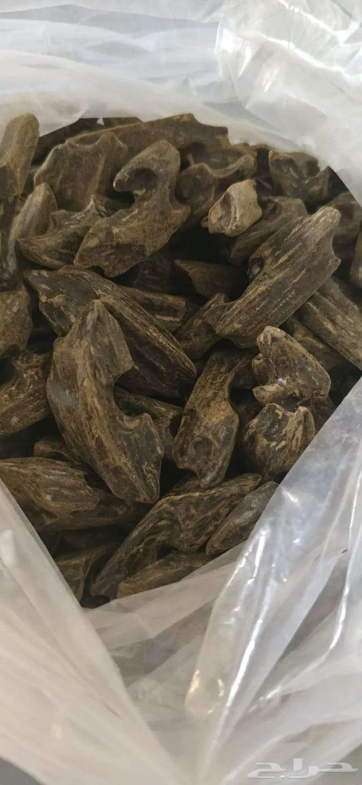 عود محسن فاخر درجة أولى 0