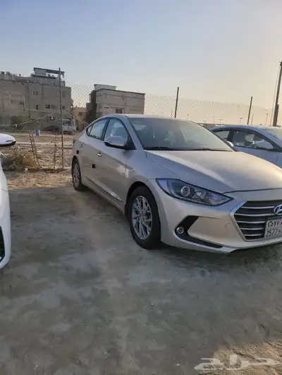 القطيف 1
