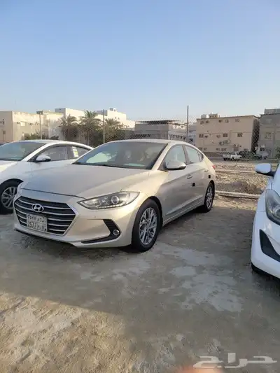 القطيف 0