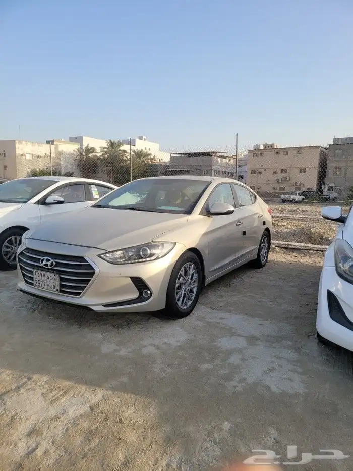 القطيف 0