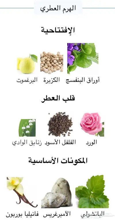 عطر توكسيدو 150 ملي بسعر880وعطر روز عود حجم250بسعر1450 ريال 1