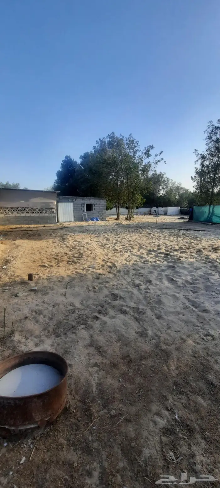 اسطبل خيل للبيع ابو للايجار حوش 0