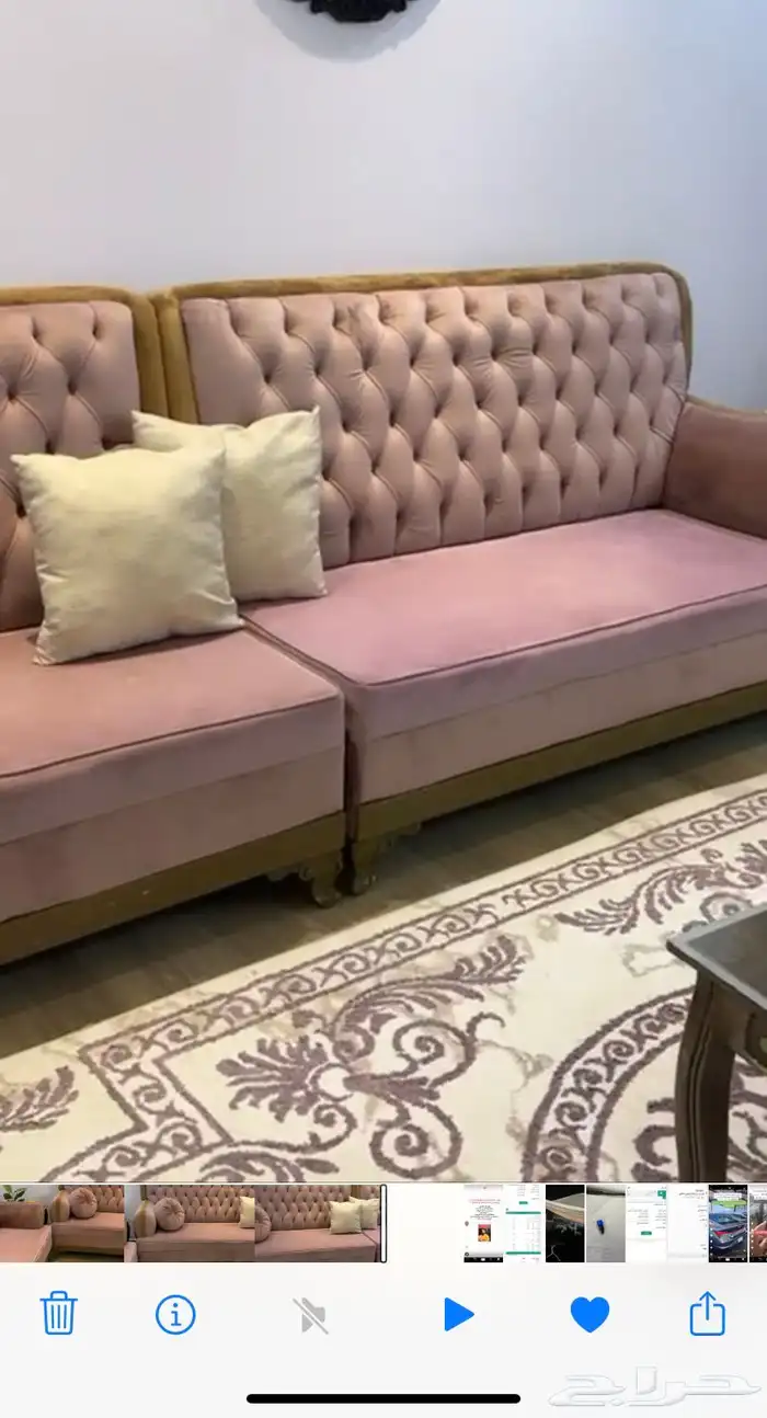 بيشة 0