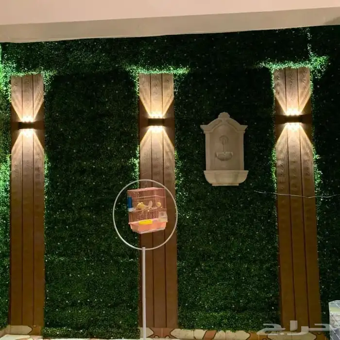 تنسيق الحدائق 2