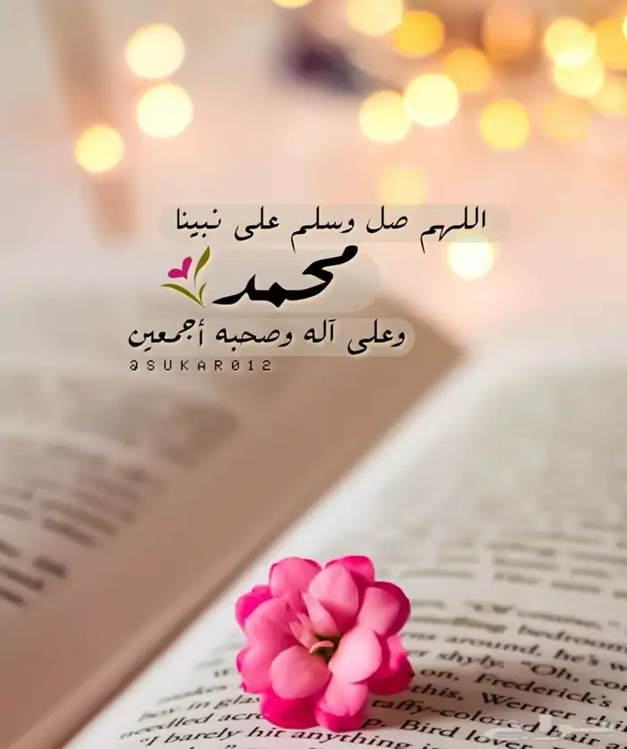 كداد توصيل من المدينه المنورة إلى العلا 0