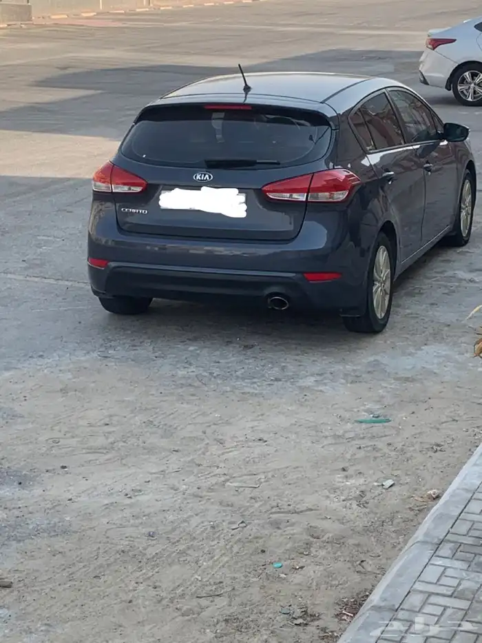 سيراتو كحلي 2016 0