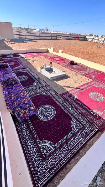 مخيمات داخل المدينه المنوره 5