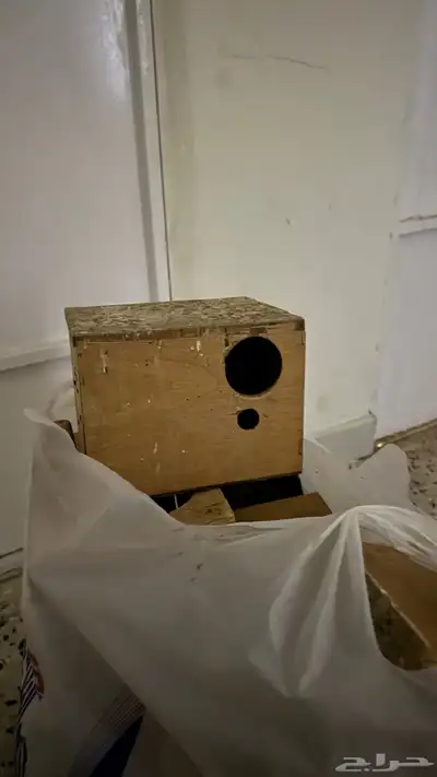 بياضات طيور بادجي وروز وكروان 0