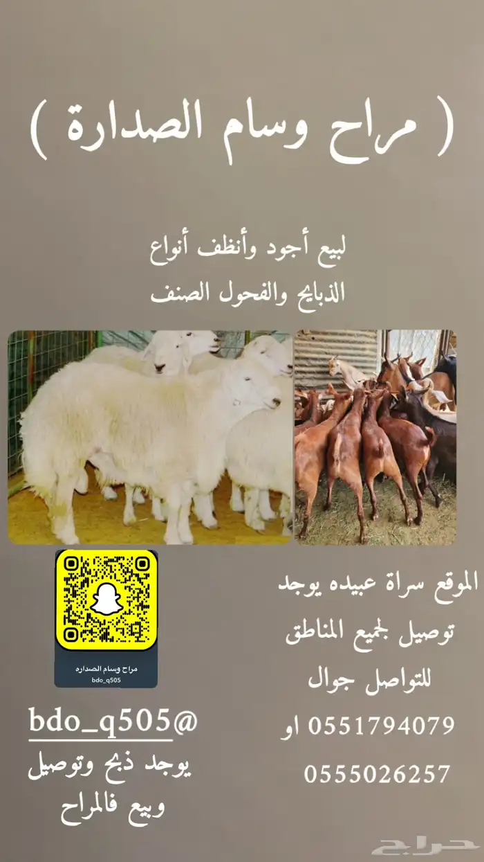 مراح وسام الصداره للذبايح 0