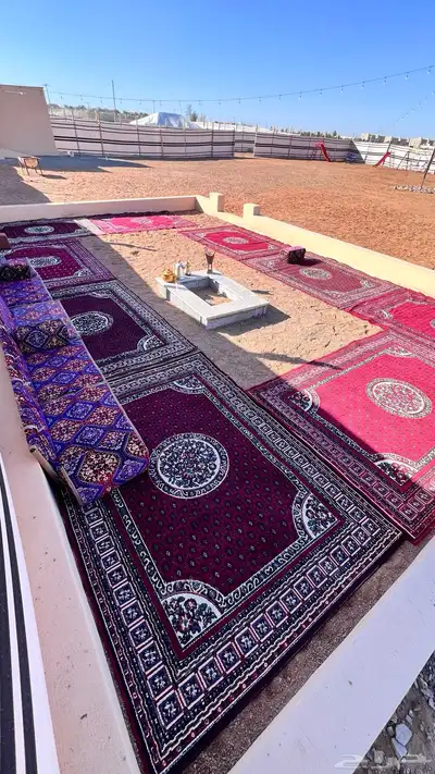 مخيمات داخل المدينه المنوره 6