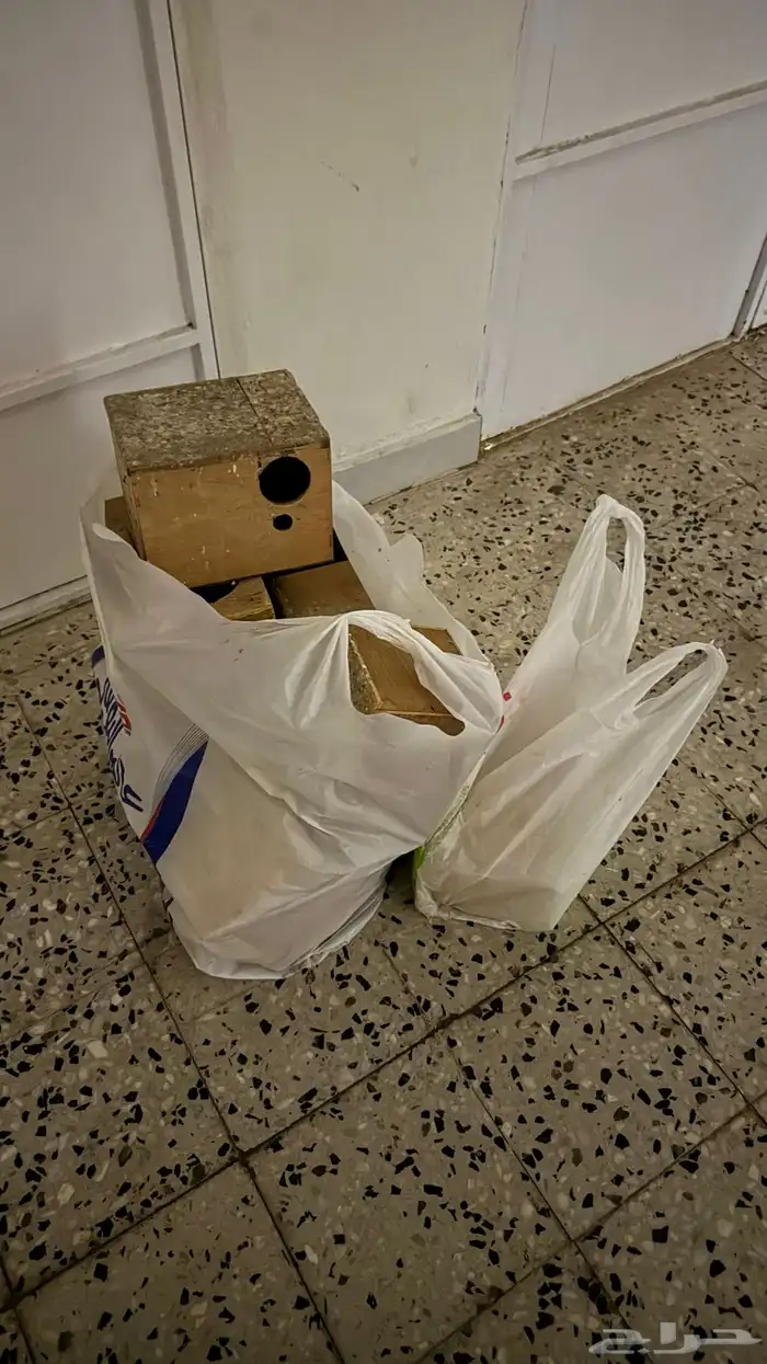 بياضات طيور بادجي وروز وكروان تم البيع 1