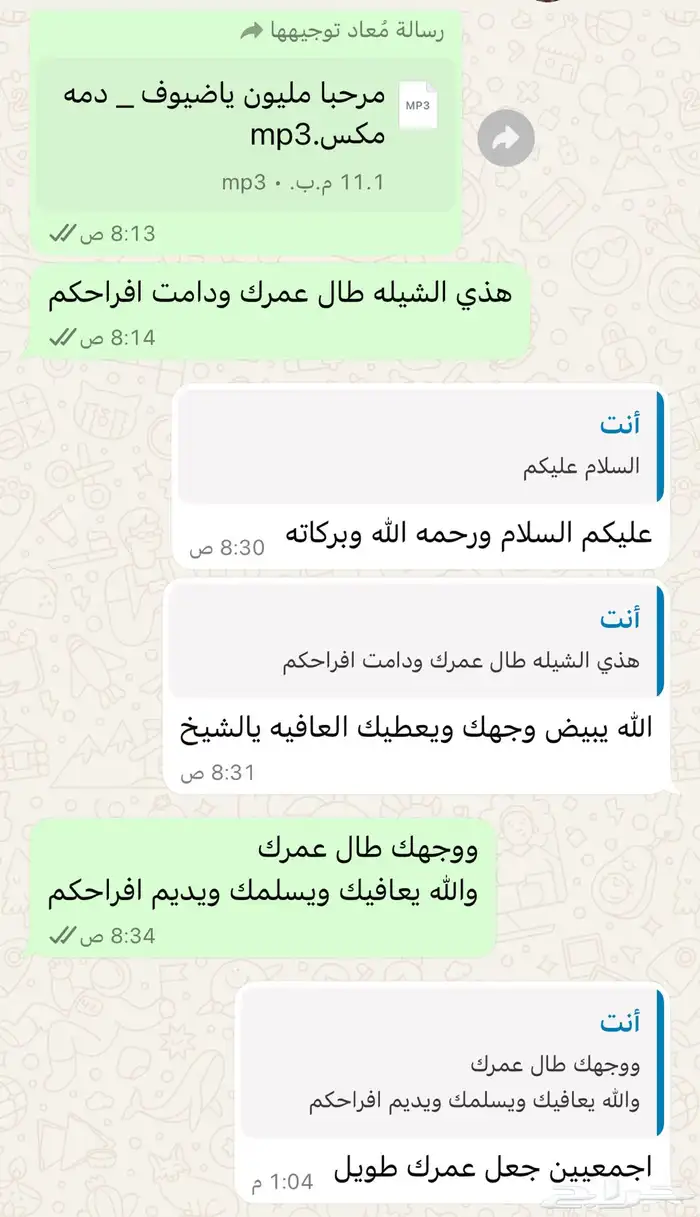 شيلات جنوبيه دمه رفيحي مجرور 0