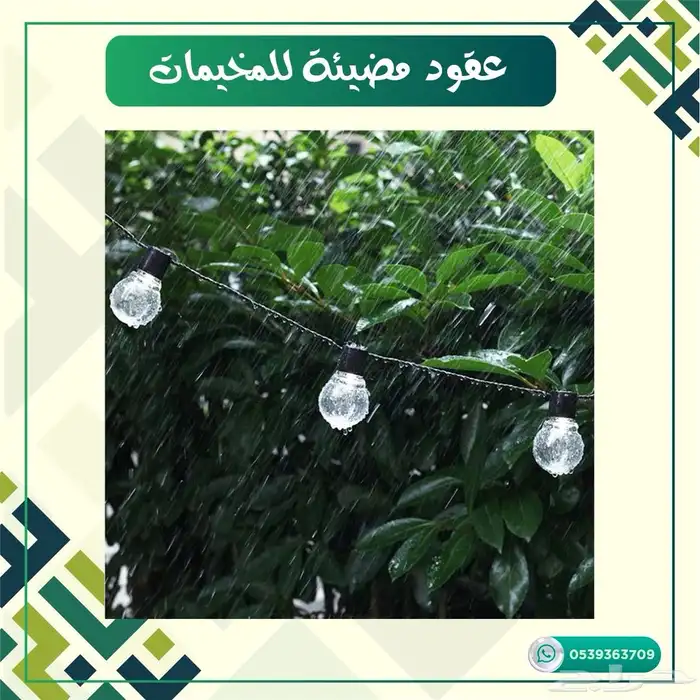 عقود مضيئه للمخيمات 6