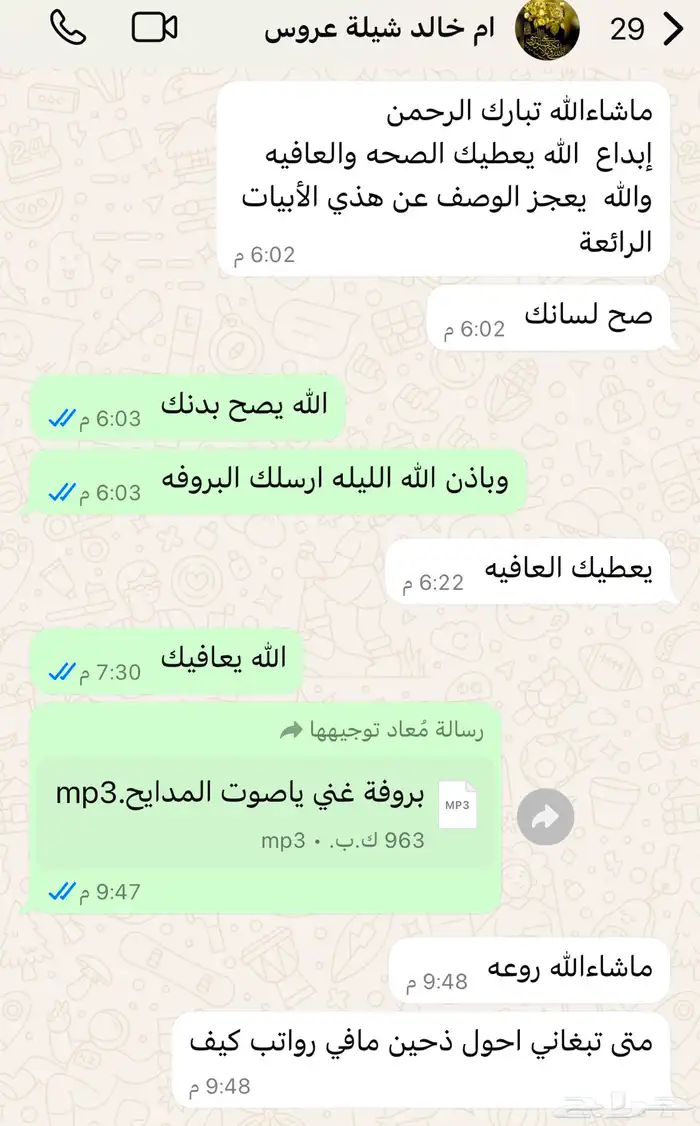 شيلات جنوبيه دمه رفيحي مجرور 1