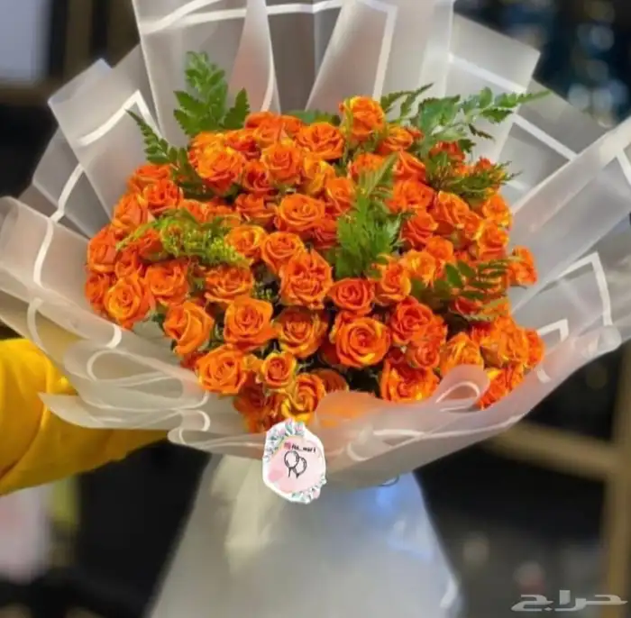 ورود وهدايا 0
