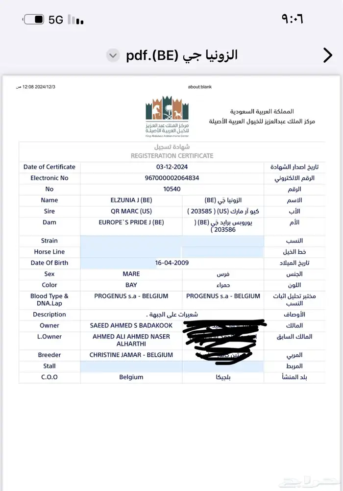 فرس شيخه 3