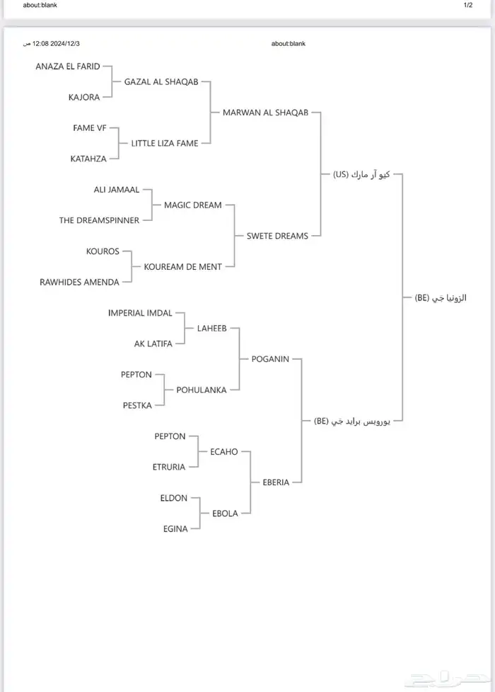 فرس شيخه 2
