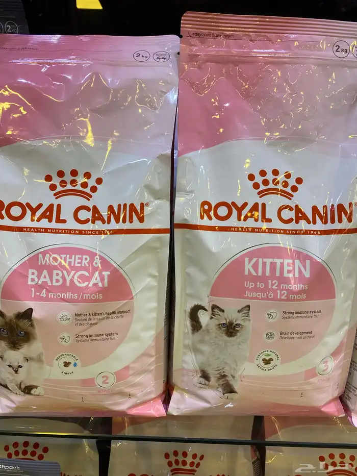 كل ما يحتاجه حيوانك الأليف من عنايه وخدمات 2