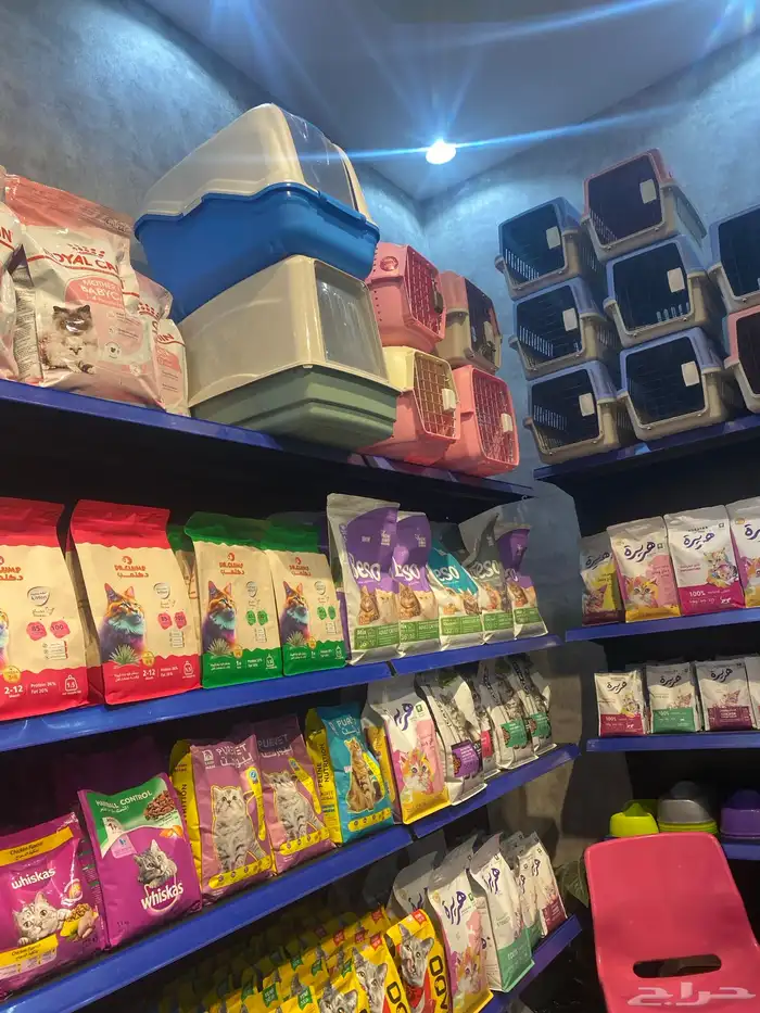 قطط طيور سمك هامستر 17