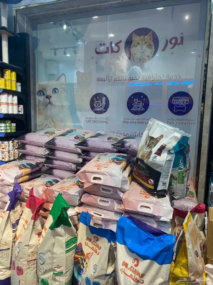 قطط طيور سمك هامستر 18