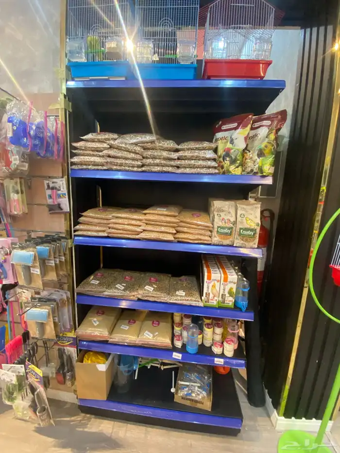 قطط طيور سمك هامستر 19