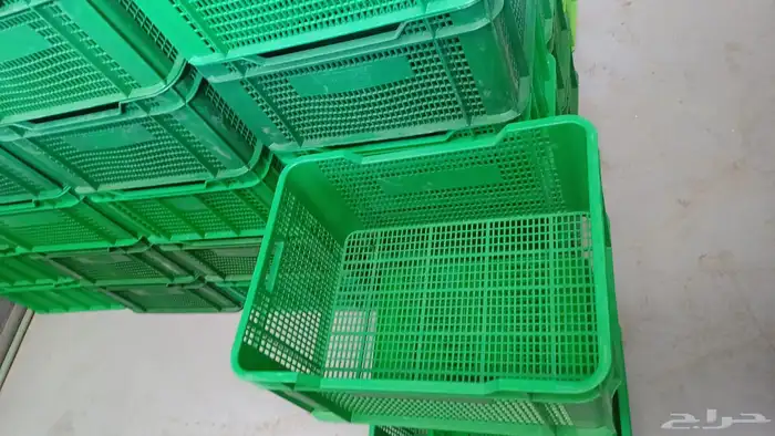 صندوق بلاستيك صناديق تمور صناديق خضار دجاج سمك 4