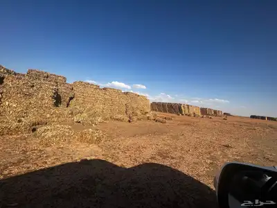 ذره شاميه بالات 0