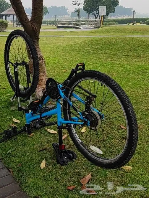 Bike trek سيكل تريك 2