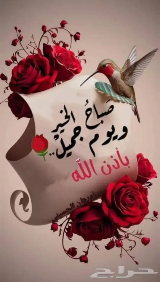 معلم 0