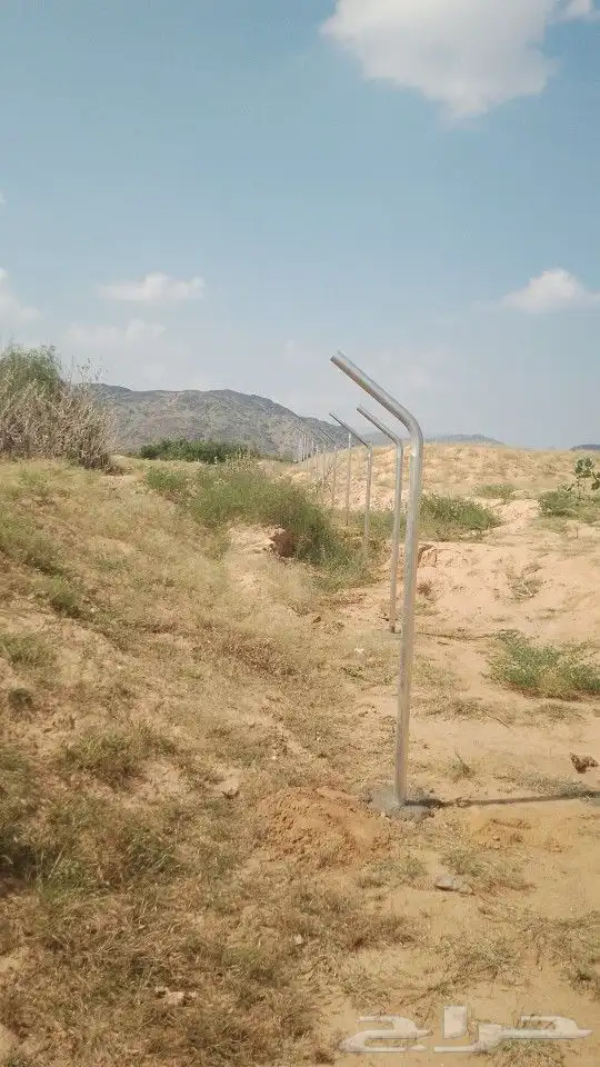 يوجدلدينانخيل مثمر جميع الانواع وجميع المقسات وشبوك المزارع 8