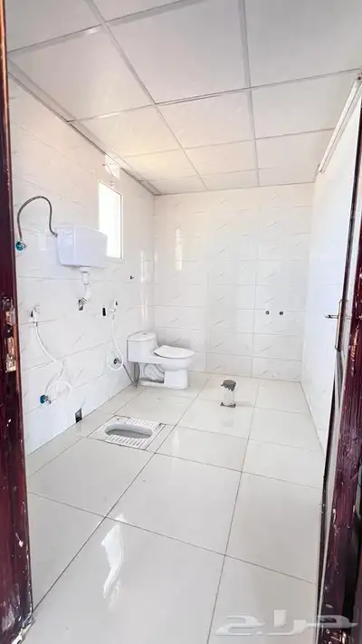 مخيمات داخل المدينه المنوره 48