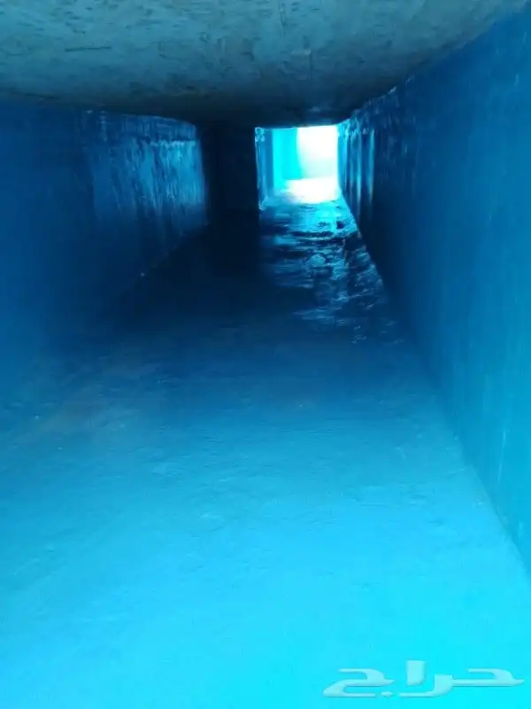 شركه تنظيف شقق فلل جده 4